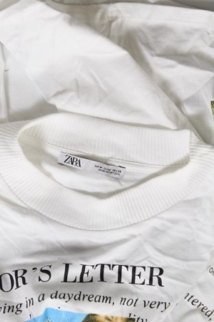 Damen Shirt Zara, Größe M, Farbe Weiß, Baumwolle, Preis 15,78 €