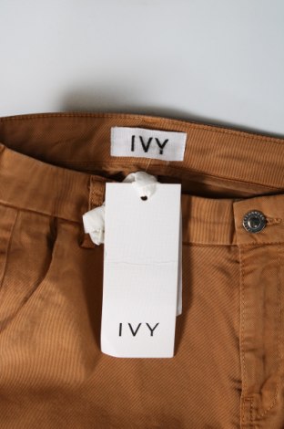 Dámske nohavice Ivy Copenhagen, Veľkosť S, Farba Hnedá, Cena  92,27 €