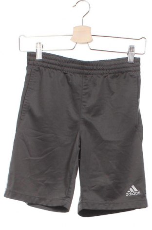 Pantaloni scurți pentru copii Adidas, Mărime 10-11y/ 146-152 cm, Culoare Gri, Preț 82,24 Lei