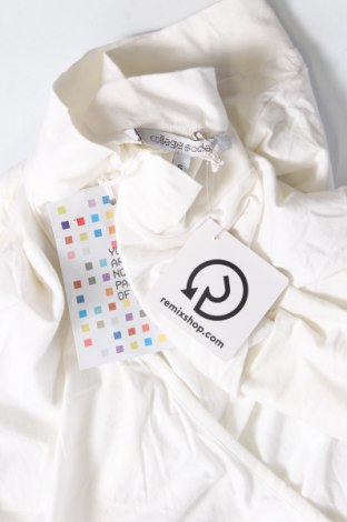 Γυναικεία μπλούζα, Μέγεθος S, Χρώμα Λευκό, Τιμή 10,55 €