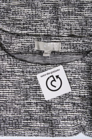 Γυναικεία μπλούζα Carolyn Taylor, Μέγεθος S, Χρώμα Γκρί, Τιμή 2,59 €
