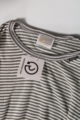 Γυναικεία μπλούζα Rodeo, Μέγεθος M, Χρώμα Πολύχρωμο, Τιμή 2,00 €