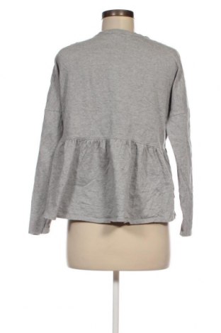 Damen Shirt Seed, Größe XS, Farbe Grau, Preis € 4,26