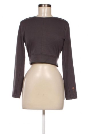 Γυναικεία μπλούζα Superdry, Μέγεθος M, Χρώμα Γκρί, Τιμή 10,06 €