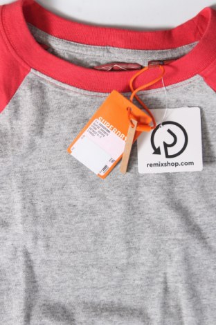 Damen Shirt Superdry, Größe L, Farbe Grau, Preis € 31,44