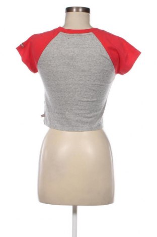 Γυναικεία μπλούζα Superdry, Μέγεθος L, Χρώμα Γκρί, Τιμή 5,34 €