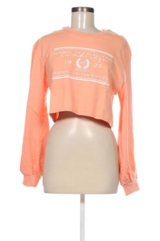 Γυναικεία μπλούζα Threadbare, Μέγεθος L, Χρώμα Ρόζ , Τιμή 3,68 €