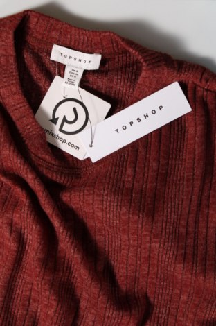 Γυναικεία μπλούζα Topshop, Μέγεθος S, Χρώμα Καφέ, Τιμή 2,60 €