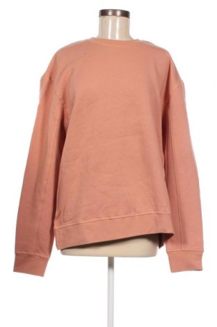 Damen Shirt Topshop, Größe M, Farbe Beige, Preis 10,39 €
