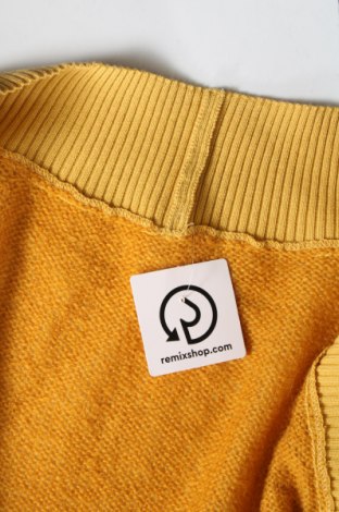Damen Strickjacke, Größe M, Farbe Gelb, Preis € 2,62