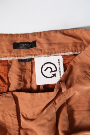 Pantaloni scurți de femei Esprit, Mărime L, Culoare Maro, Preț 78,95 Lei