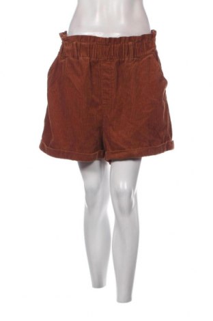Γυναικείο κοντό παντελόνι Oviesse, Μέγεθος L, Χρώμα Καφέ, Τιμή 15,98 €