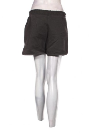 Damen Shorts Superdry, Größe M, Farbe Grün, Preis 12,27 €