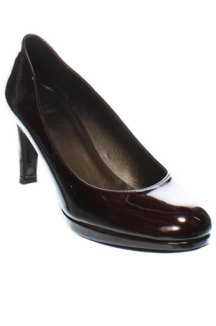 Дамски обувки Stuart Weitzman, Размер 38, Цвят Кафяв, Цена 72,76 лв.