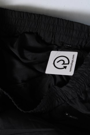 Damenhose, Größe M, Farbe Schwarz, Preis € 2,22