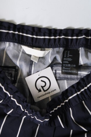 Damenhose H&M, Größe L, Farbe Blau, Preis 20,18 €