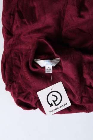 Γυναικείο πουλόβερ Time and tru, Μέγεθος M, Χρώμα Κόκκινο, Τιμή 5,38 €