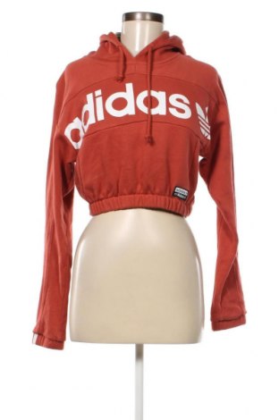Damen Sweatshirt Adidas, Größe XS, Farbe Braun, Preis 18,93 €