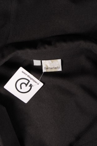 Γυναικείο σακάκι Setter, Μέγεθος L, Χρώμα Γκρί, Τιμή 4,50 €