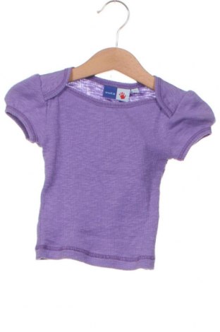 Kinder Shirt Molo, Größe 3-6m/ 62-68 cm, Farbe Lila, Preis 8,08 €