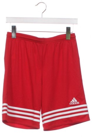 Kinder Shorts Adidas, Größe 13-14y/ 164-168 cm, Farbe Rot, Preis 45,02 €