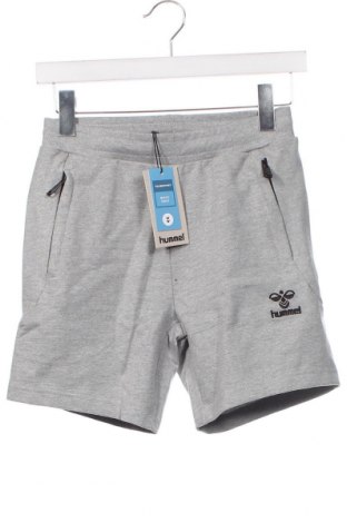 Kinder Shorts Hummel, Größe 11-12y/ 152-158 cm, Farbe Grau, Preis 18,25 €