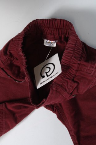 Детски панталон Contrast, Размер 12-18m/ 80-86 см, Цвят Червен, Цена 4,32 лв.