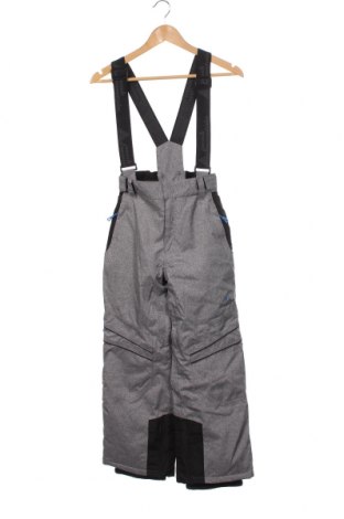 Детски панталон за зимни спортове Peak Mountain, Размер 8-9y/ 134-140 см, Цвят Сив, Цена 259,00 лв.