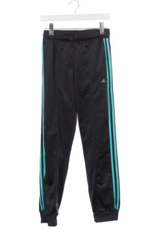 Kinder Sporthose Adidas, Größe 13-14y/ 164-168 cm, Farbe Grau, Preis 29,23 €