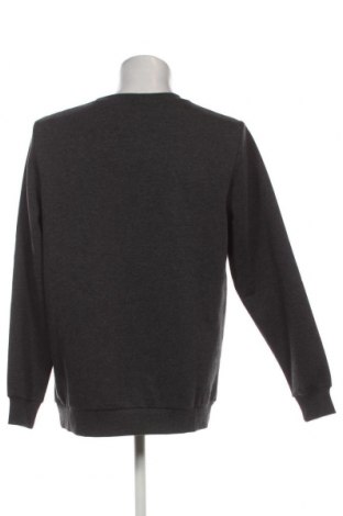 Ανδρική μπλούζα, Μέγεθος XL, Χρώμα Γκρί, Τιμή 10,94 €
