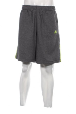 Мъжки къс панталон Adidas, Размер XL, Цвят Сив, Цена 23,91 лв.