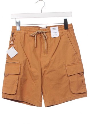 Herren Shorts Pull&Bear, Größe S, Farbe Braun, Preis 10,93 €