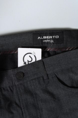 Ανδρικό παντελόνι Alberto, Μέγεθος L, Χρώμα Γκρί, Τιμή 6,81 €