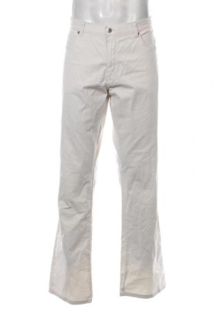 Мъжки панталон Angelo Litrico, Размер L, Цвят Сив, Цена 20,30 лв.