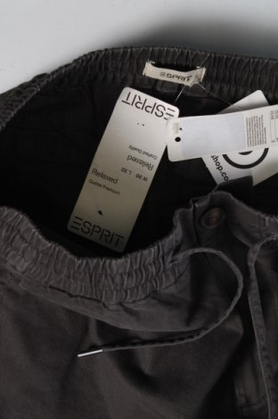 Pánske nohavice  Esprit, Veľkosť S, Farba Sivá, Cena  44,85 €