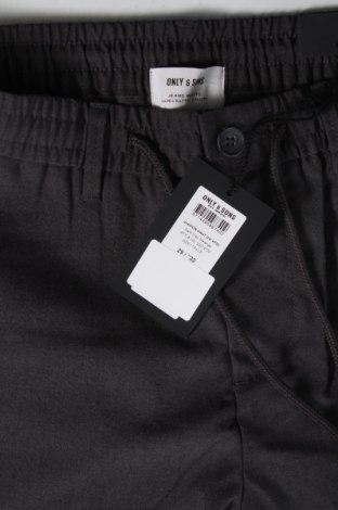 Ανδρικό παντελόνι Only & Sons, Μέγεθος S, Χρώμα Γκρί, Τιμή 5,69 €