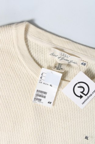 Pánský svetr  H&M, Velikost XL, Barva Krémová, Cena  273,00 Kč