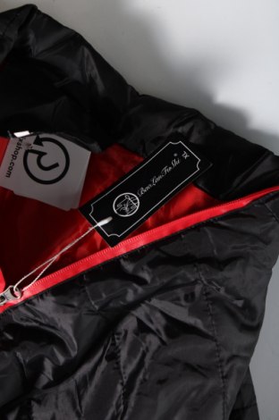 Pánska bunda , Veľkosť M, Farba Čierna, Cena  16,59 €