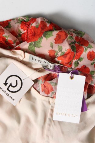 Φόρεμα Hope & Ivy, Μέγεθος S, Χρώμα Πολύχρωμο, Τιμή 90,21 €