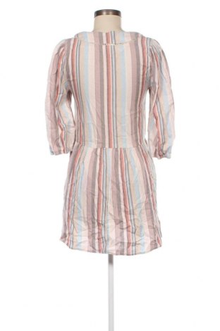 Kleid Knox Rose, Größe XS, Farbe Mehrfarbig, Preis € 8,30