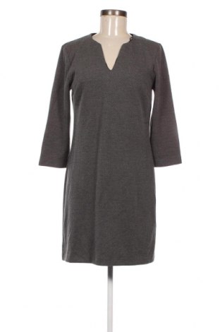 Kleid Tahari, Größe S, Farbe Grau, Preis 4,53 €