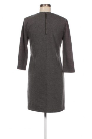 Kleid Tahari, Größe S, Farbe Grau, Preis € 15,35