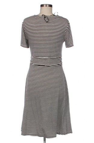 Φόρεμα Tom Tailor, Μέγεθος M, Χρώμα Πολύχρωμο, Τιμή 52,58 €