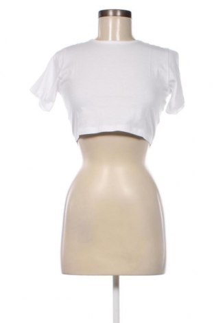 Γυναικεία μπλούζα Wednesday's Girl, Μέγεθος XS, Χρώμα Πολύχρωμο, Τιμή 8,08 €