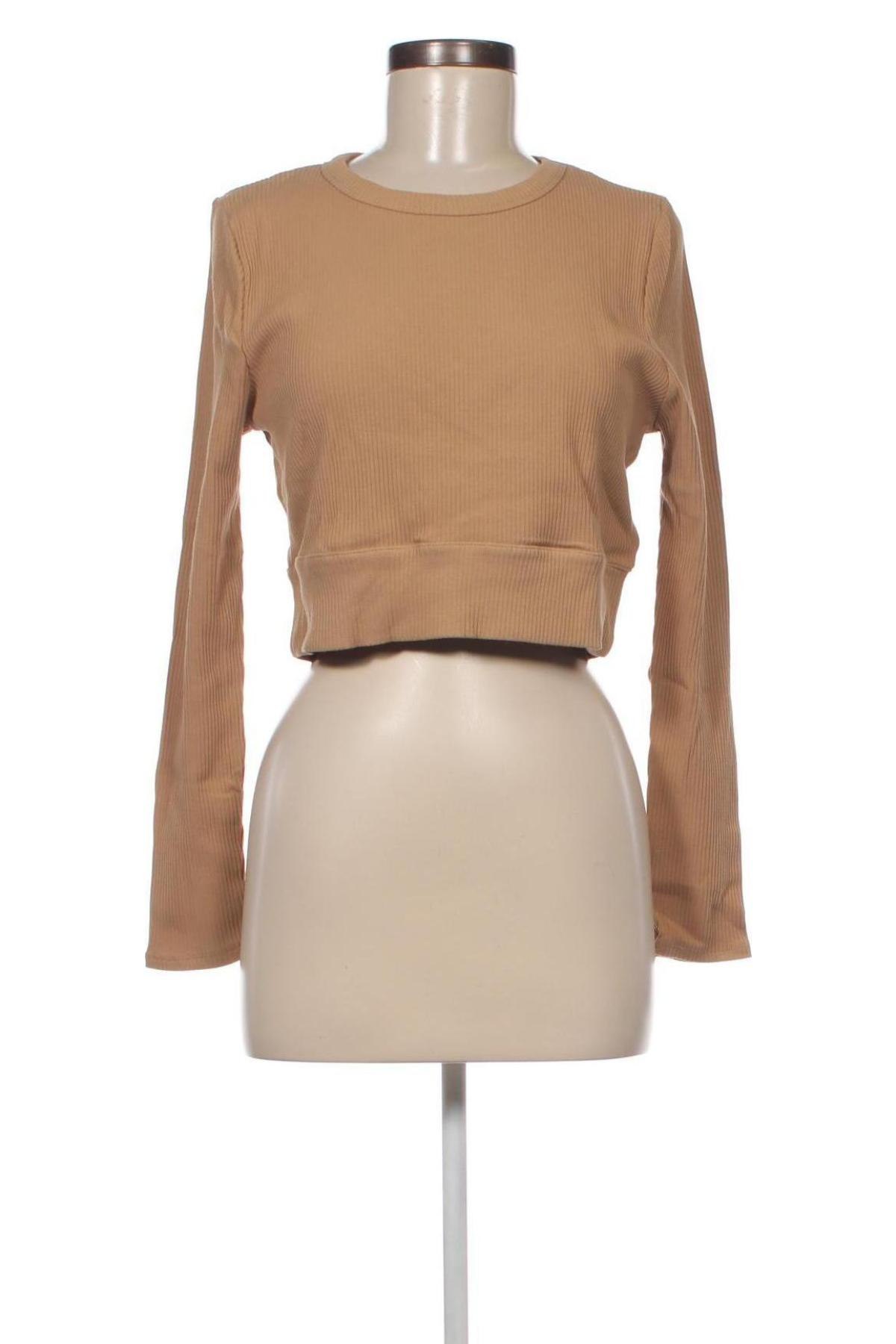 Γυναικεία μπλούζα Cotton On, Μέγεθος XXL, Χρώμα  Μπέζ, Τιμή 3,68 €