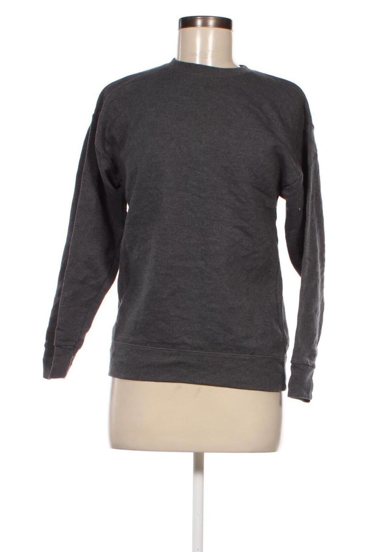 Γυναικεία μπλούζα Hanes, Μέγεθος XL, Χρώμα Γκρί, Τιμή 5,64 €