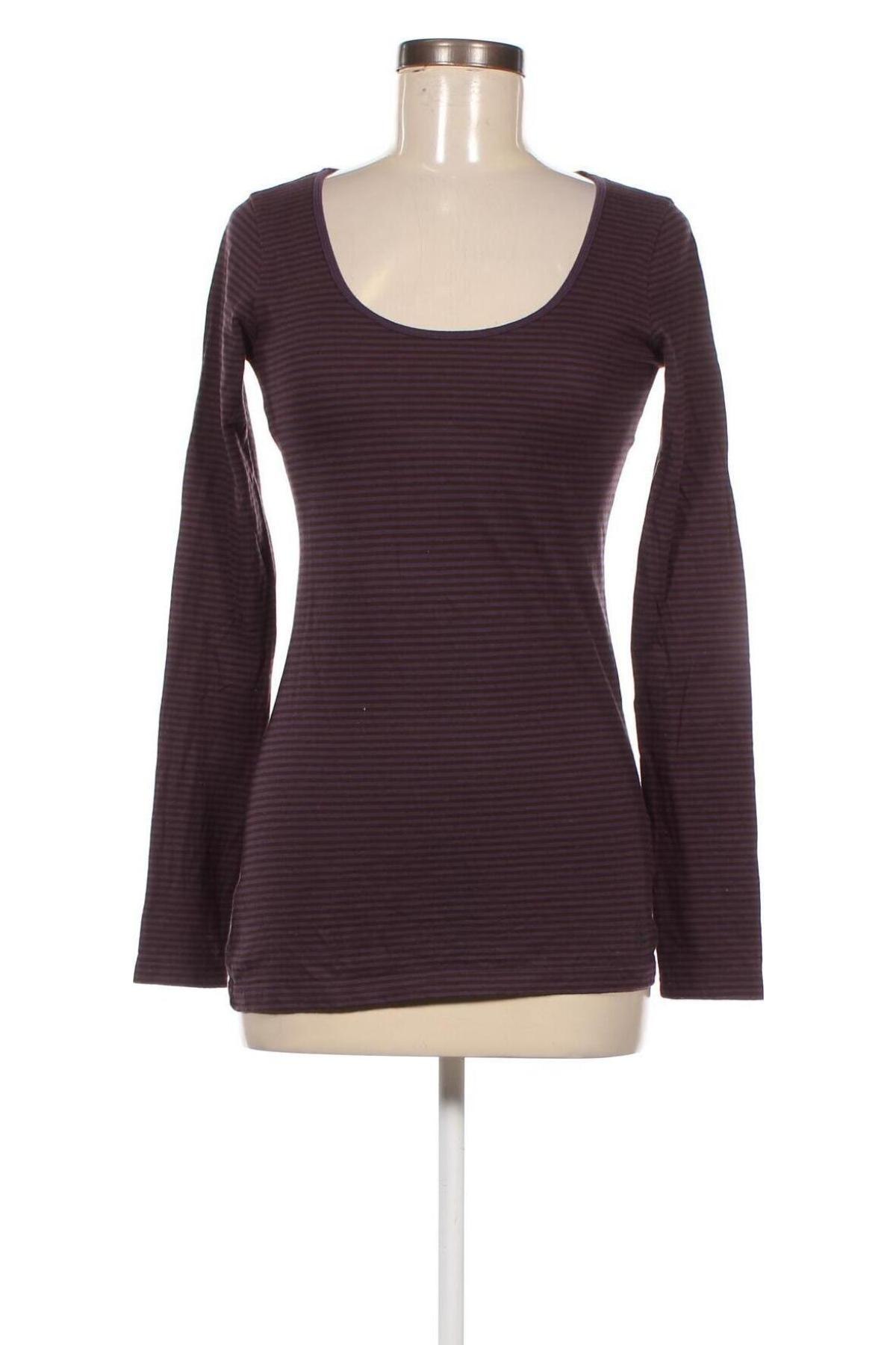 Γυναικεία μπλούζα More & More, Μέγεθος M, Χρώμα Βιολετί, Τιμή 17,39 €