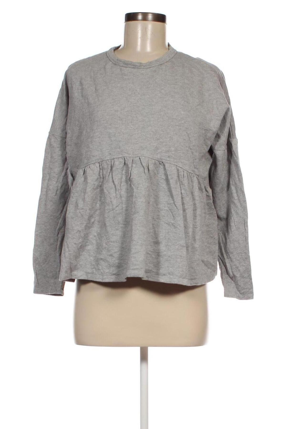 Damen Shirt Seed, Größe XS, Farbe Grau, Preis € 4,26