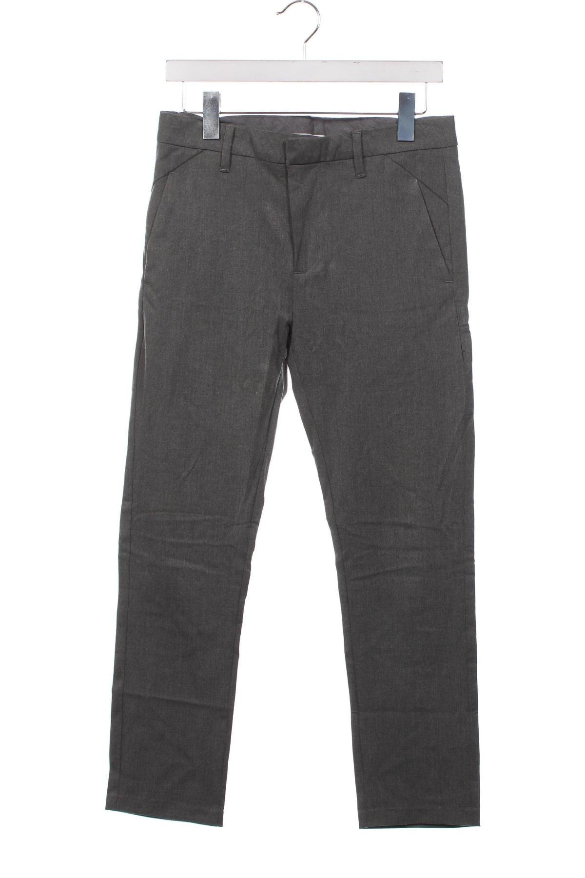 Ανδρικό παντελόνι PLAIN, Μέγεθος S, Χρώμα Γκρί, Τιμή 3,23 €