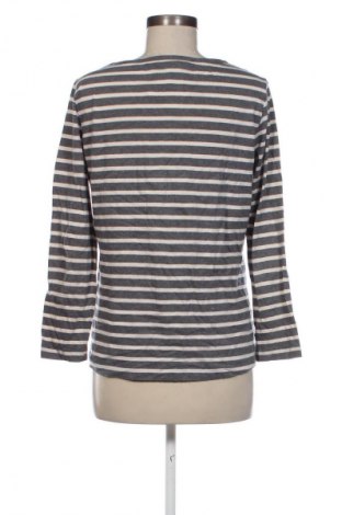 Damen Shirt Betty Barclay, Größe M, Farbe Mehrfarbig, Preis € 7,99